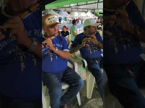 Leilão de garrota em Jabitacá, Iguaraci-PE 