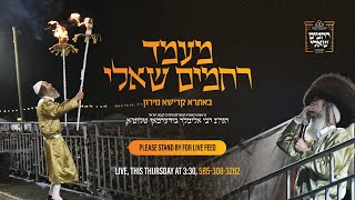 שידור חי: ר' אלימלך בידרמן מוביל כינוס היסטורי למען חולי ישראל - 7/9/23 - 15:30