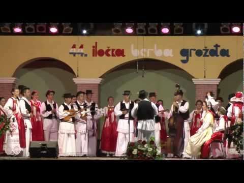 Miroslav Janjic + Sloga iz Bapske 03.09.2011 Berba grozdja u ILOKU.wmv