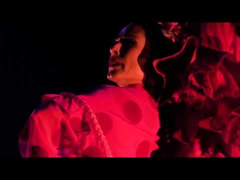 De luces y sombras ( Espectáculo flamenco)