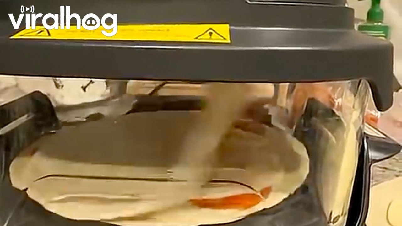 Tortilla Dances Inside Air Fryer || ViralHog