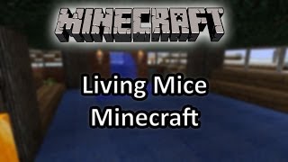 Living Mice Minecraft [Solo Guitar Cover]