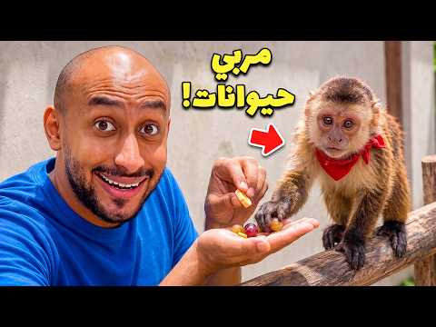 جربت أسهل الوظايف اللي تجيب فلوس !