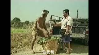 結局貧乏になってしまったタイのCM【P(Poor)ルート】