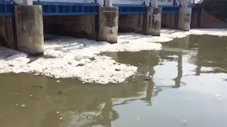 Masuki Musim Penghujan, Debit Busa di Kanal Banjir Timur Alami Penurunan