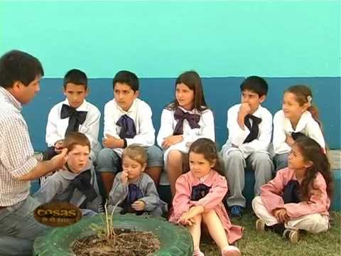 Programa Nº 96 parte 4 - Cosas de mi País TV
