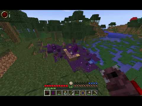 Obtaining Vitium from Taint Seeds. (Thaumcraft 6 beta19)