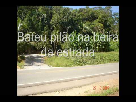 Ruy Maurity - O verde é maravilha