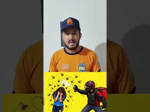 Coordenador da Defesa Civil, fala sobre uma menina que foi atacada por abelhas em Belo Horizonte