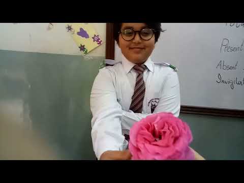 gift of flower from Abdullah Noor for mam Saiqa