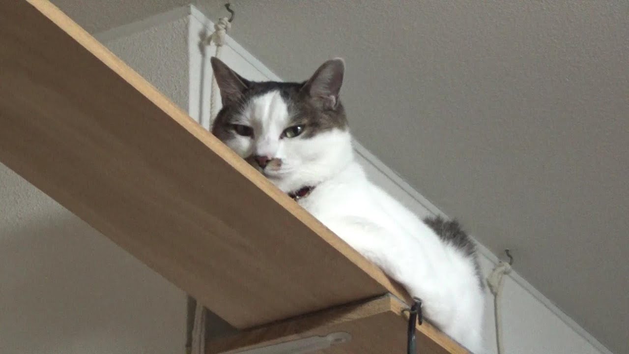 お前というやつは・・・。