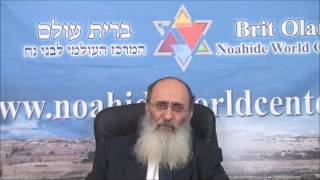 יציאת מצרים- האביב של העולם כולו. הרב אורי שרקי.