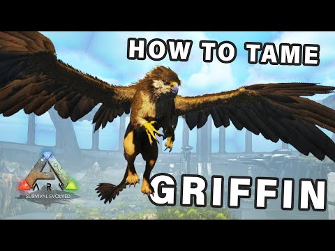 How to trap & tame a Griffin ( ALLOSAURUS Kibble ) ► Ark Survival Evolved