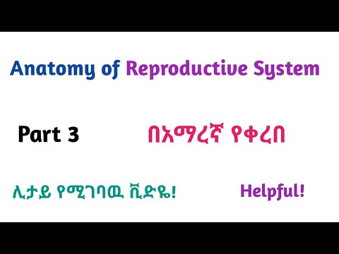 Anatomy of Reproductive System, Part 3, Helpful Video with Amharic Speech