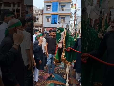 Zuljana Muharram Nowgawan Sadat 2025_1447 hijri #Shorts #Traning @NS SHIA TV