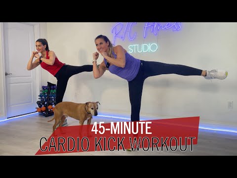 45-MINUTE FAT BLASTING CARDIO KICK WORKOUT / PUNCH AND KICK TO THE MUSIC / FUN, FAST CALORIE BURNER