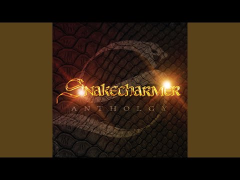 Punching Above My Weight