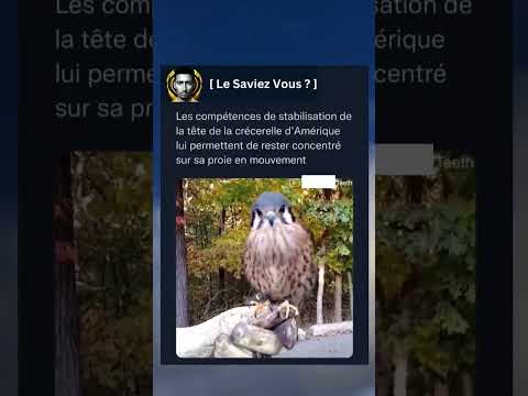 #saviezvous #pourtoi #france