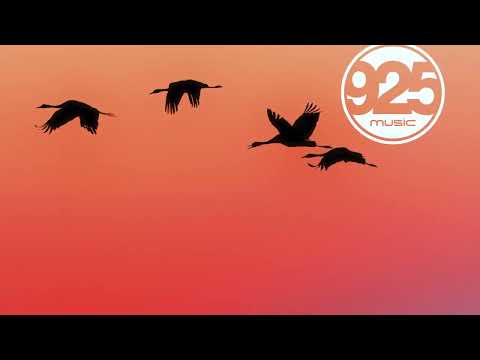 Francisco Efebes (Franbeats) - Particulas