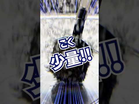 トレンディな水上植物 2022