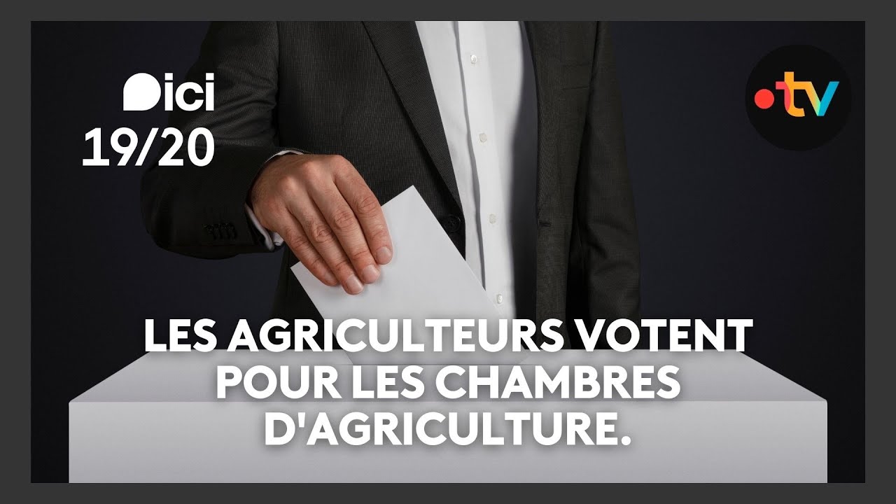 "On a la possibilité d’influer sur le modèle agricole", les agriculteurs élisent leurs représentants