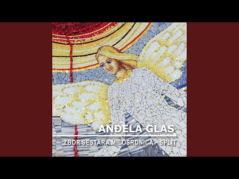 Zdravo Zvijezdo Mora