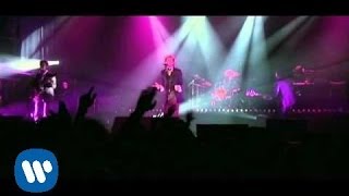 Elefantes - Me He Vuelto A Equivocar (Live)