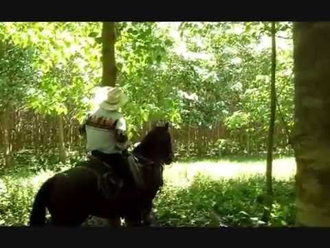 download lagu mp3 mp4 Melina Planta, download lagu Melina Planta gratis, unduh video klip Melina Planta