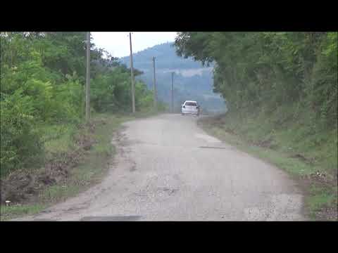 Dejan Pejic / Dusan Djokovic - 1. Rally Zajecar 2020 - VW Polo 1.4