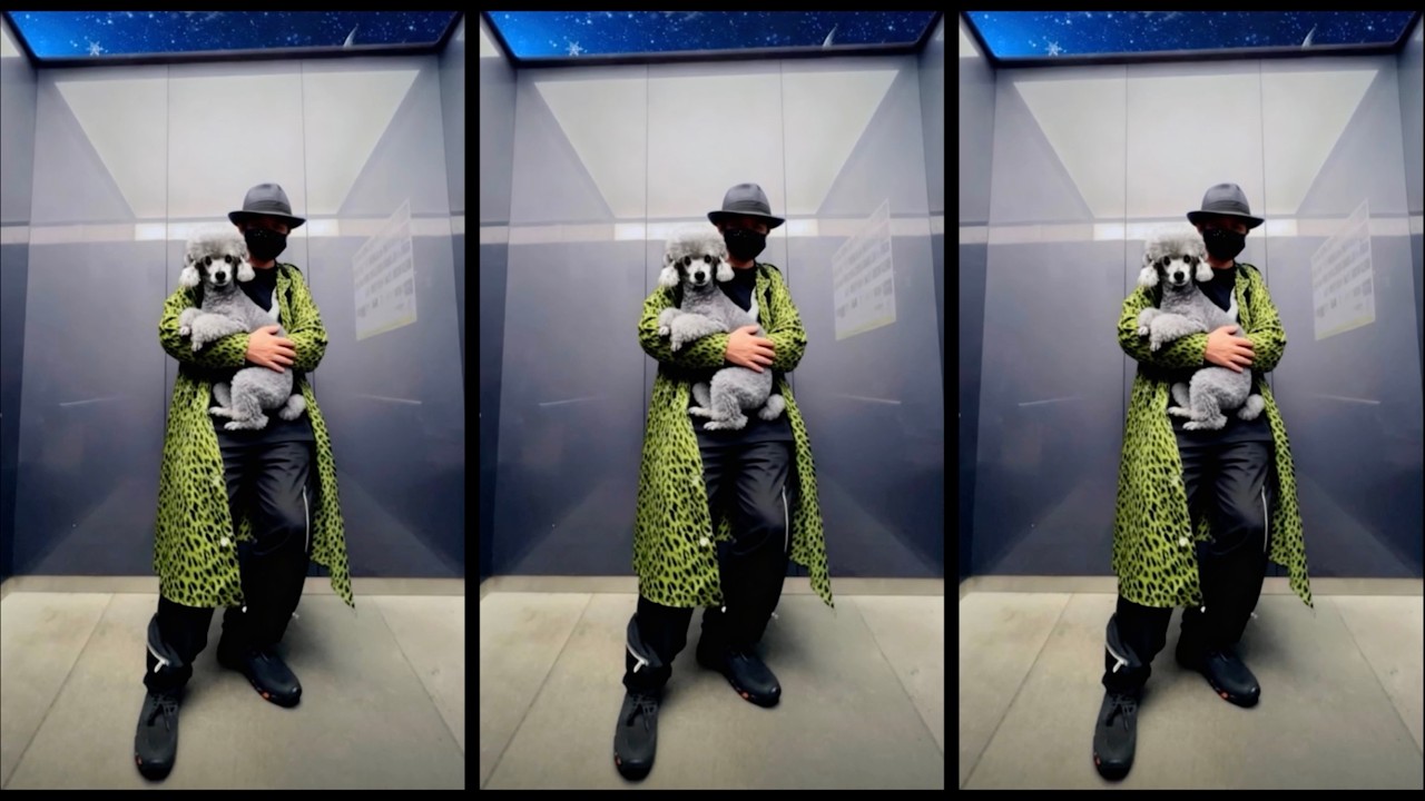 UKAWA’s Elevator Routine with TV 🐩 — Defying Gravity Hug