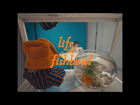 LIFE IN A FISHBOWL (TRAILER)