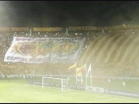 "REVOLUCION VINOTINTO SUR 2016 (TOLIMA VS LA GUAIRA)" Barra: Revolución Vinotinto Sur &bull; Club: Tolima