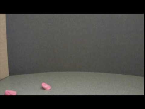 Aryan Saksham clay test