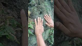 Download lagu Pus4k4 kuj4ng di4t4s tebing b4tu #pusakamisteri #pusakajawa #misterinusantara #auramistis mp3 Download lagu Pus4k4 kuj4ng di4t4s tebing b4tu #pusakamisteri #pusakajawa #misterinusantara #auramistis mp3