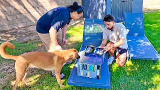 Buying Nintendo games in my backyard
