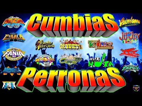 ⚡LAS MEJORES CUMBIAS PERRONAS 2024 MIX🎉GRUPO LA NUEVA ORQUESTA SONIDERA,FANIA97,QUINTANNA,ICC Y MÁS