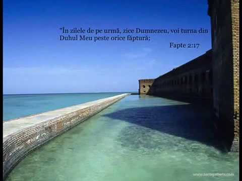 Gusti   predica la Arad