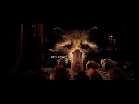 Rocket realizes he’s a raccoon