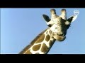 Plaza Sésamo Sesame Street Take A Breath Latin Spanish