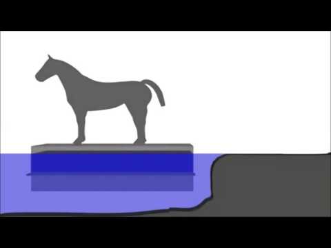 Archimedes floating principle - horse