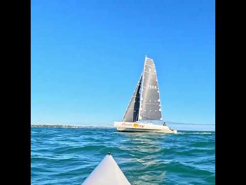 Beautiful trimaran! #trimaran #sailboat #surfski #newzealand