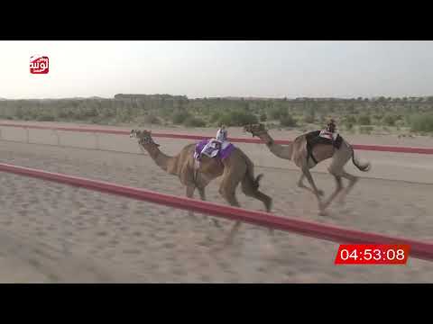  ش 9 (العين) لـ سعيد سهيل بن سالم الخييلي 6:53 ، شارة الشيخ طحنون 2026/8/23 لقايا الخزنة
