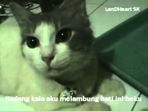 Hati Yang Beku - Jamal Mirdad