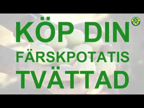 tvättad färskpotatis