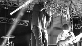 BLK S†ALLION - ††† Crosses