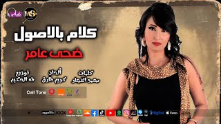 كلمات اغنية كلام بالاصول ضحى عامر