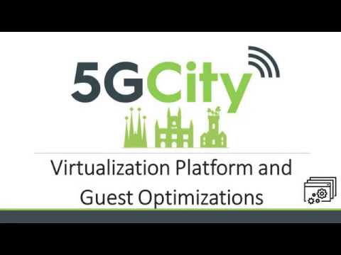 Virtualization Platform and Guest Optimizations - EdgeVIM II