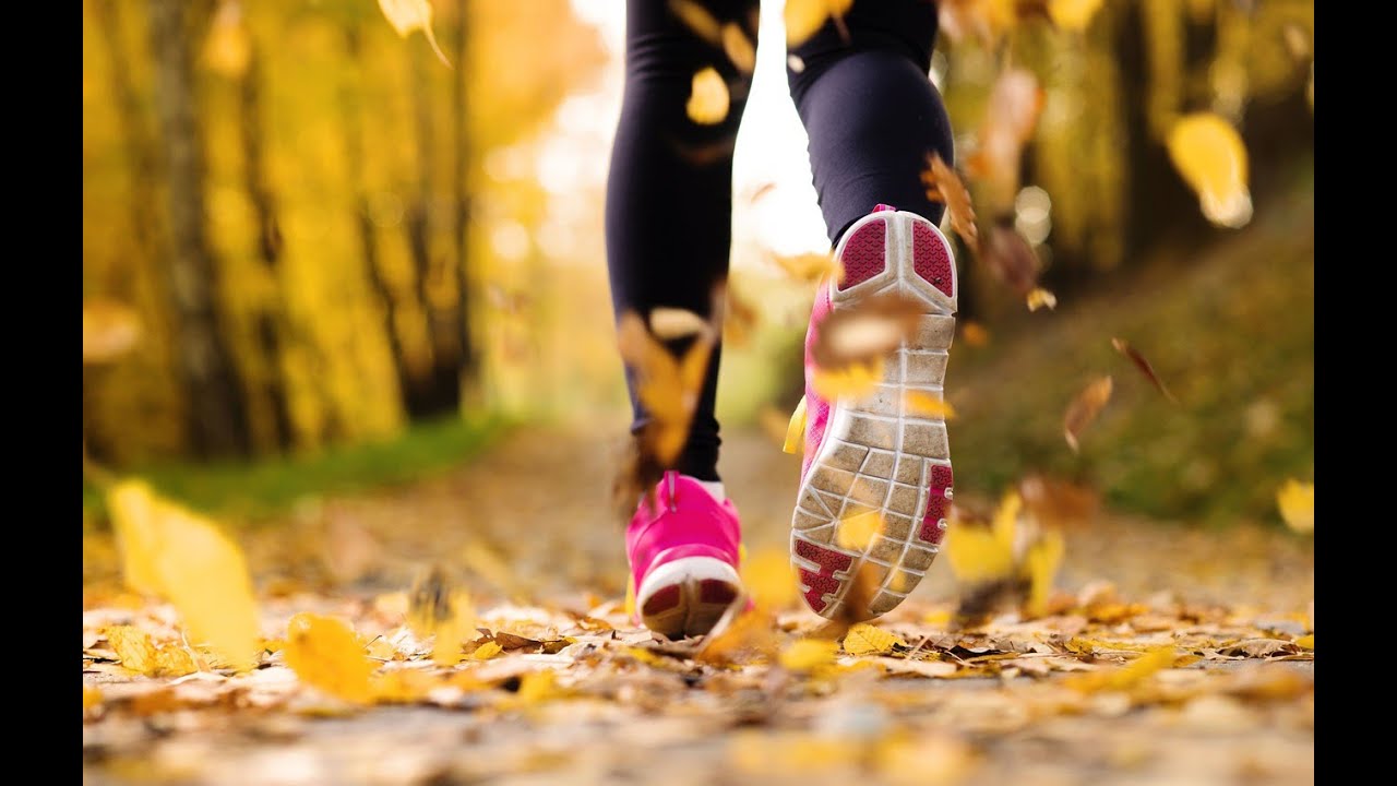 Capture Final Presentation BSG