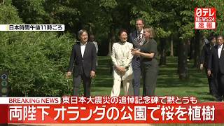 Download lagu 【皇室】天皇皇后両陛下 オランダの公園で桜を植樹 東日本大震災の追悼記念碑で黙とうも ──皇室ニュースライブ(日テレNEWS LIVE) mp3 Download lagu 【皇室】天皇皇后両陛下 オランダの公園で桜を植樹 東日本大震災の追悼記念碑で黙とうも ──皇室ニュースライブ(日テレNEWS LIVE) mp3