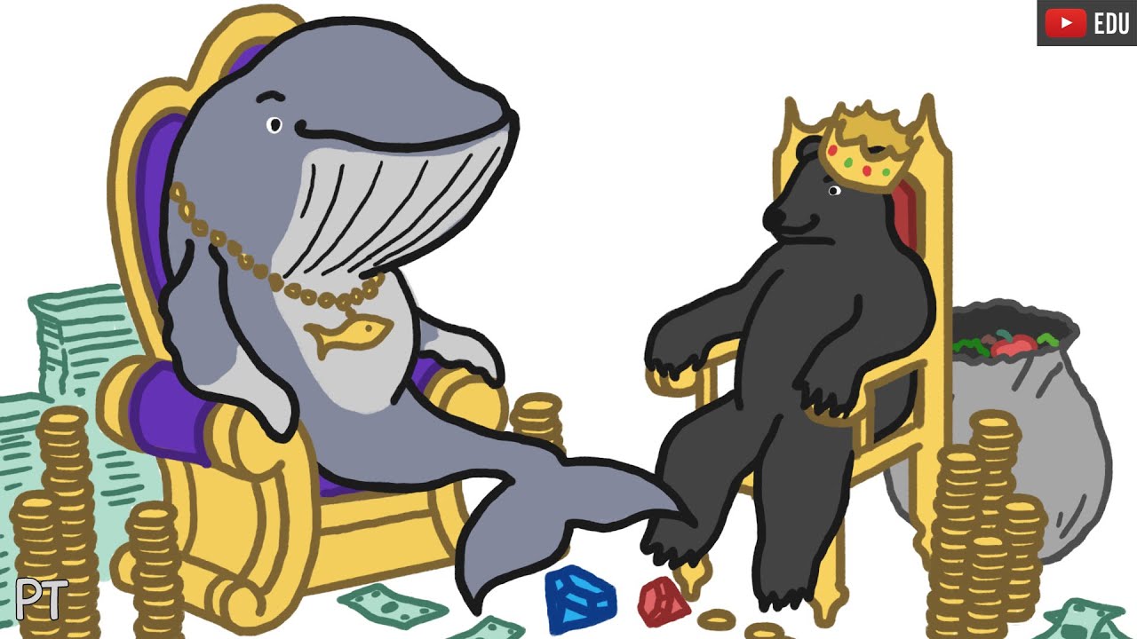 Como uma baleia e um urso venceram o sistema | Minuto da Terra